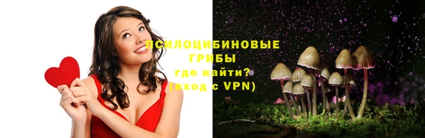 apvp Арсеньев