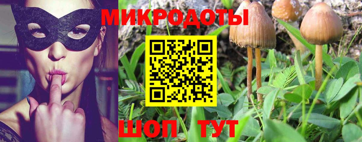 Губаха  Псилоцибиновые грибы GOLDEN TEACHER  Галлюциногенные грибы ЛСД  Вход с VPN 