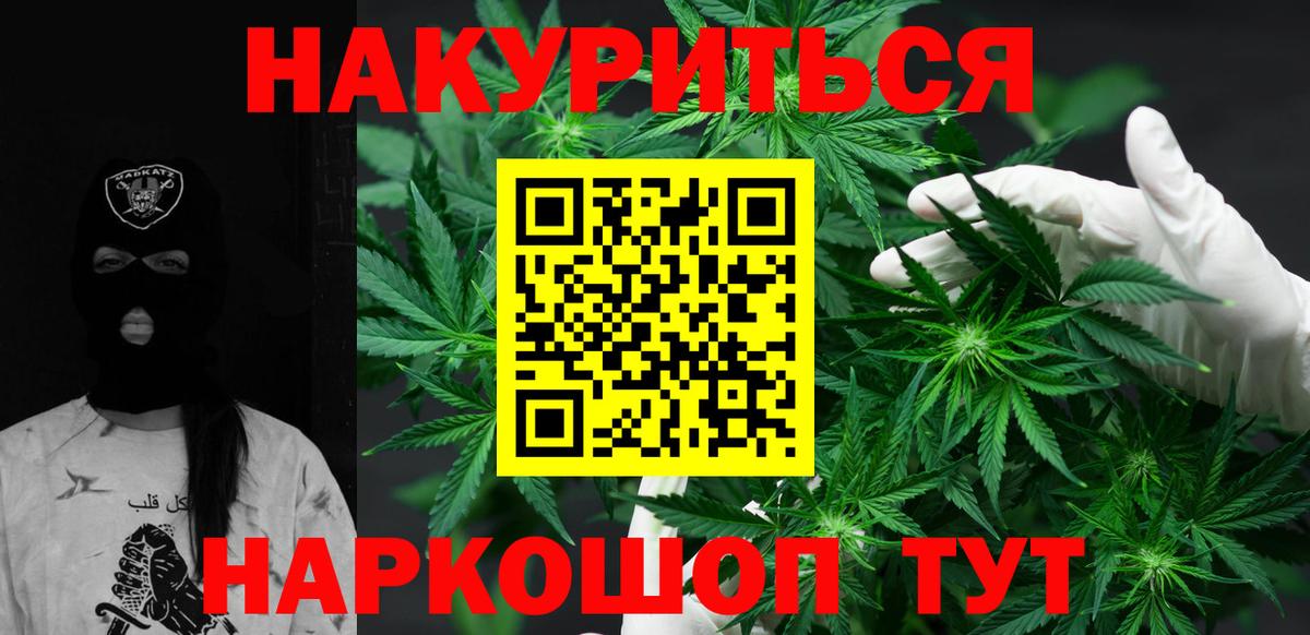 Бошки Шишки план Губаха
